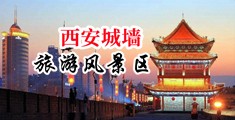 大鸡巴狠狠肏嫩穴狠狠插av中国陕西-西安城墙旅游风景区